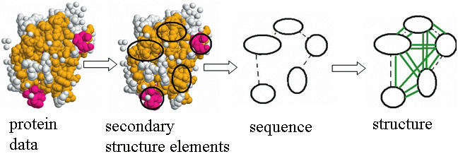 Protein encoding as graphs